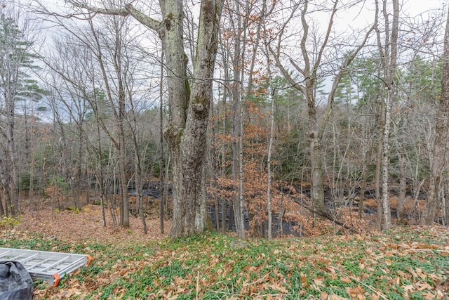 view of local wilderness