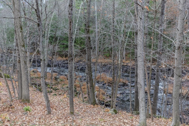 view of local wilderness