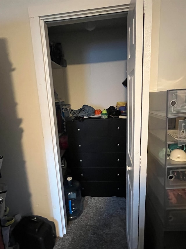 spacious closet featuring dark colored carpet