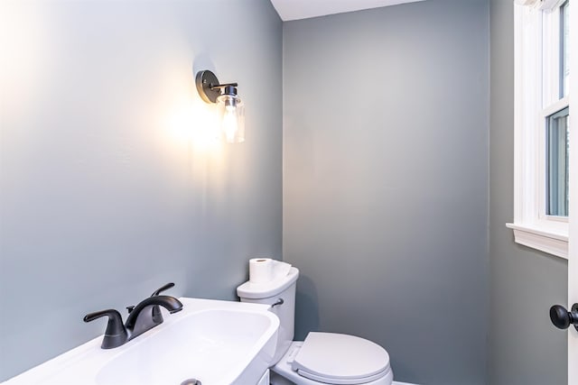 bathroom featuring sink and toilet