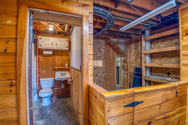 basement featuring wooden walls and sink