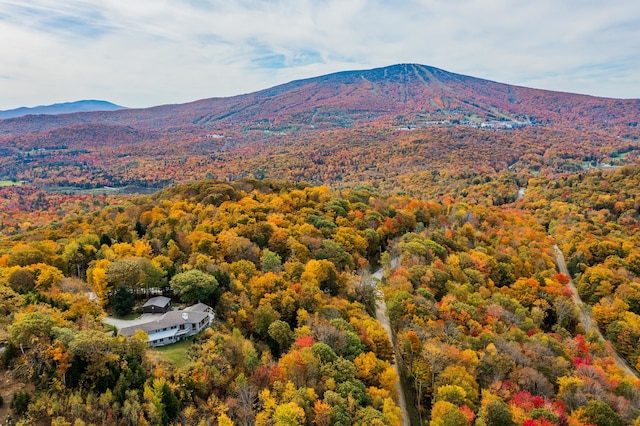 view of mountain feature