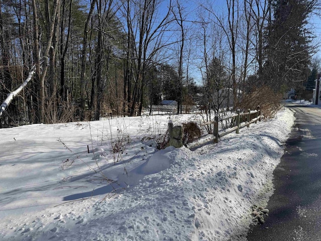 view of yard covered in snow