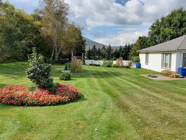 view of yard featuring a mountain view