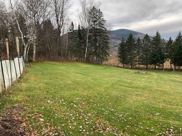 view of yard featuring a mountain view