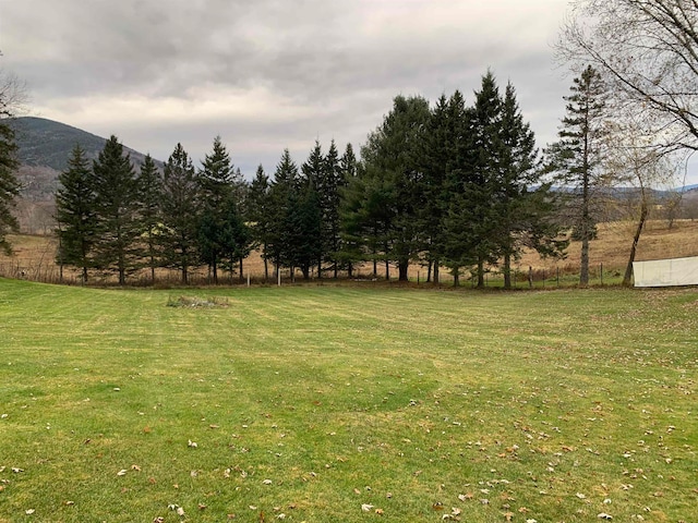 view of yard featuring a mountain view and a rural view