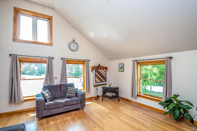 interior space with plenty of natural light, lofted ceiling, a wood stove, and light hardwood / wood-style flooring