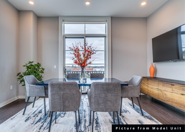 dining space with hardwood / wood-style floors