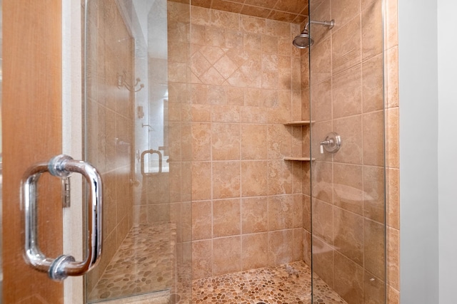 bathroom featuring a shower with shower door