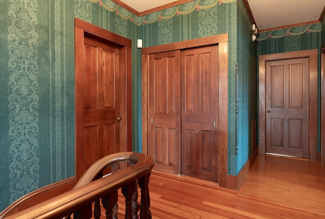 hall featuring hardwood / wood-style floors and ornamental molding