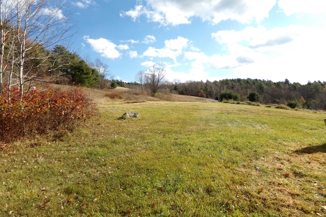 view of yard featuring a rural view