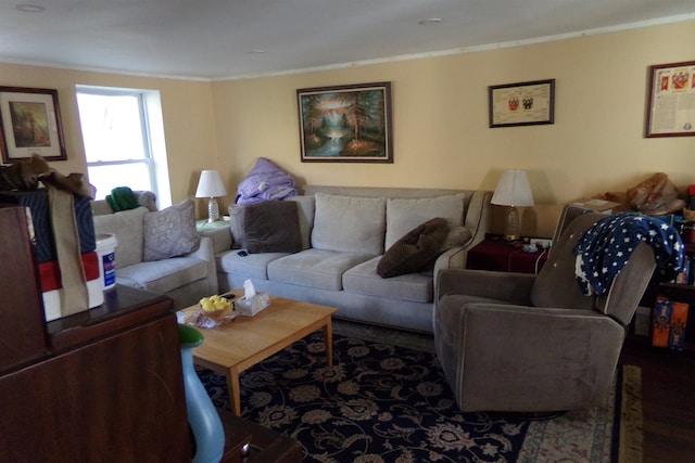 living room with dark hardwood / wood-style floors and ornamental molding