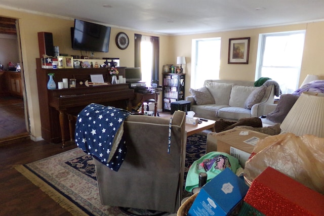 living room featuring hardwood / wood-style floors