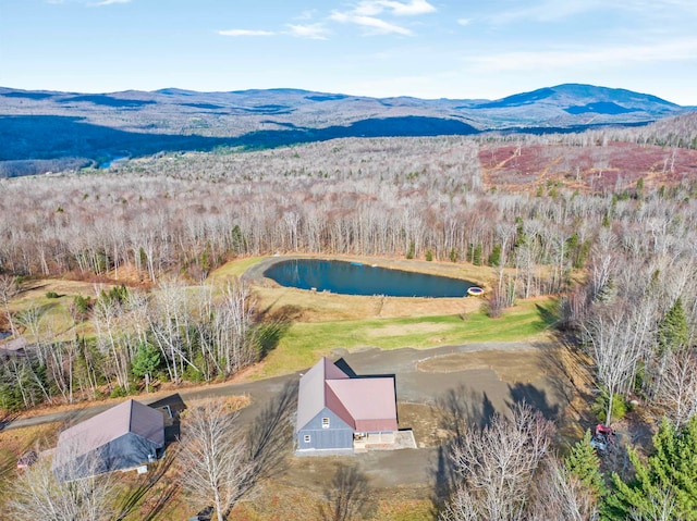 599 Meridan Hill Rd, Columbia NH, 03576, 3 bedrooms, 3 baths house for sale