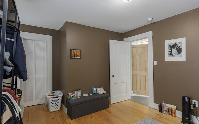 interior space featuring wood-type flooring and a closet