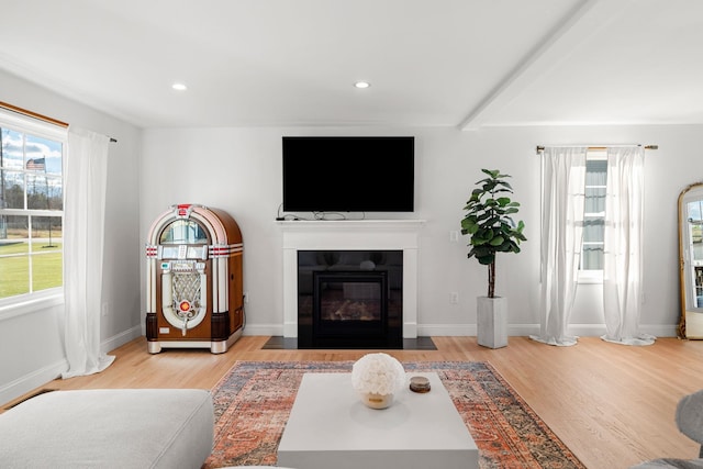 living room featuring a wealth of natural light and light wood-type flooring