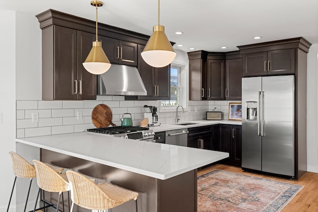 kitchen featuring kitchen peninsula, ventilation hood, light hardwood / wood-style flooring, and appliances with stainless steel finishes