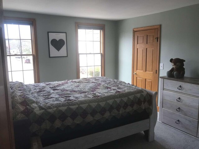 bedroom featuring carpet