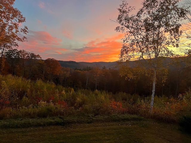 property view of mountains