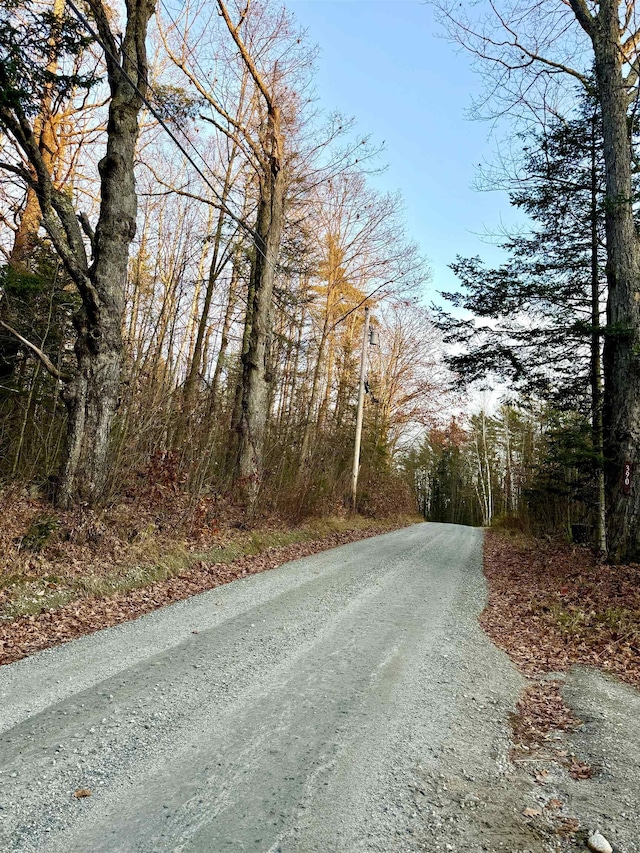 390 Simonds Rd, Dalton, NH 03598 - view of road