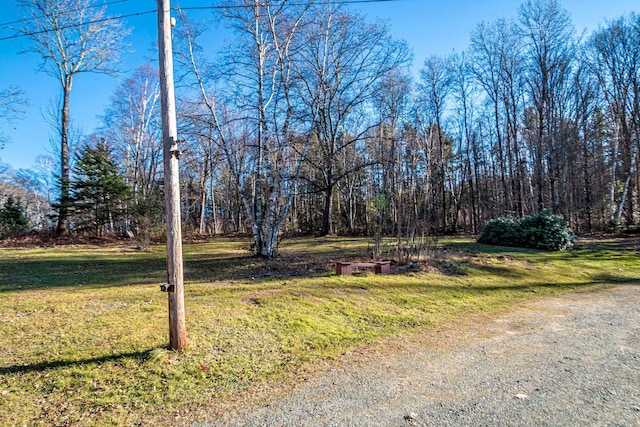 390 Simonds Rd, Dalton, NH 03598 - view of green lawn