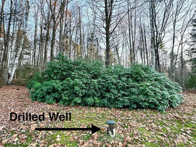 390 Simonds Rd, Dalton, NH 03598 - view of undeveloped land