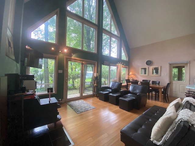 living room featuring hardwood / wood-style flooring, high vaulted ceiling, and a healthy amount of sunlight