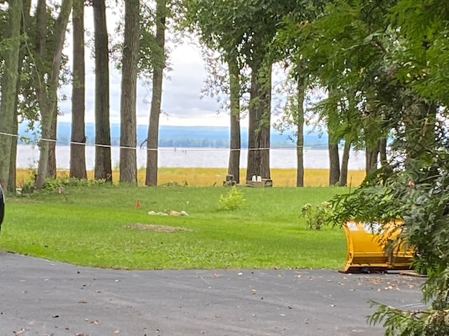 view of community with a water view and a lawn