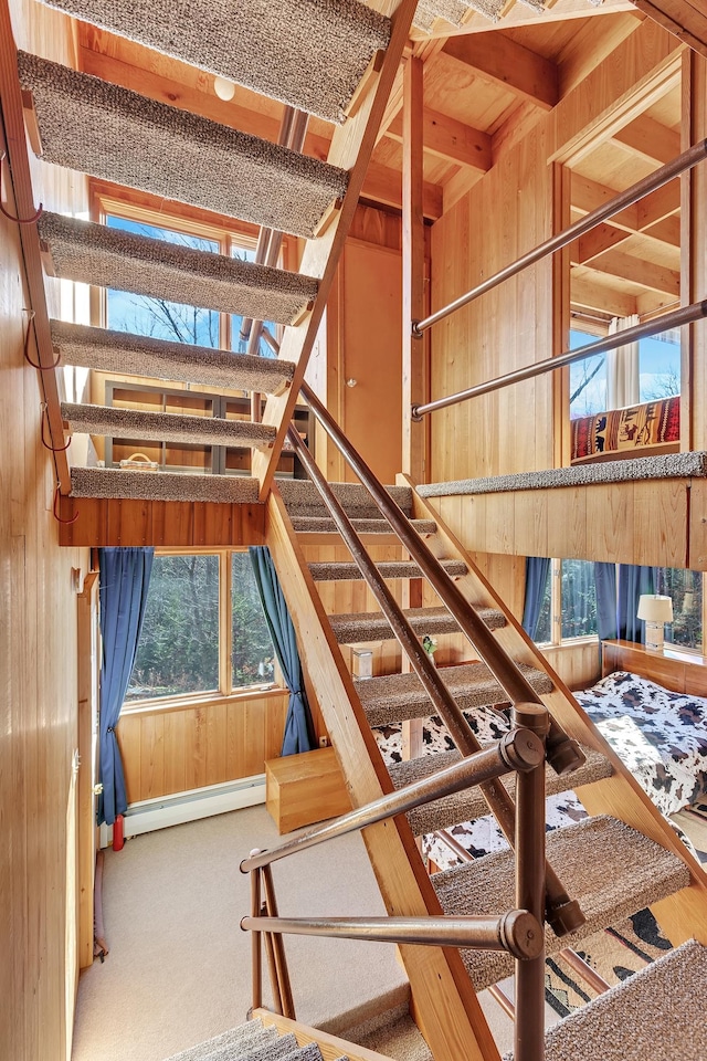 staircase featuring carpet, a baseboard radiator, and wooden walls