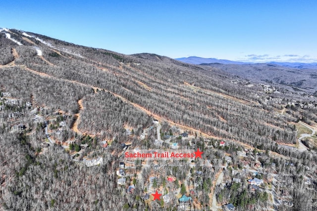 birds eye view of property featuring a mountain view