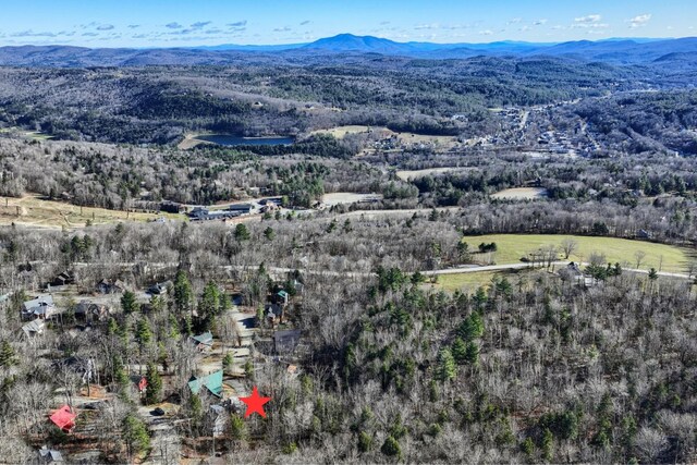 aerial view with a mountain view