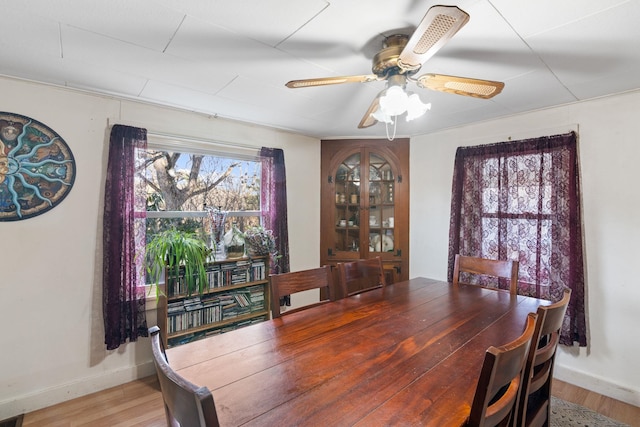 dining space with hardwood / wood-style flooring and ceiling fan