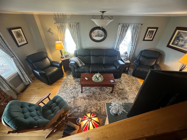 living room with light hardwood / wood-style floors