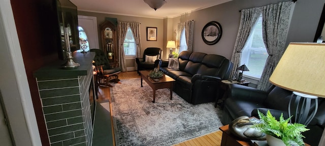 living room with crown molding and wood-type flooring