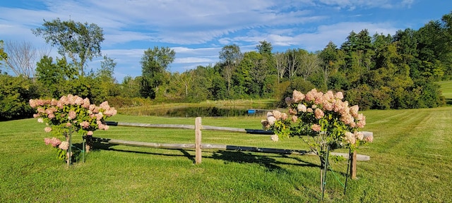 view of community with a lawn and a water view