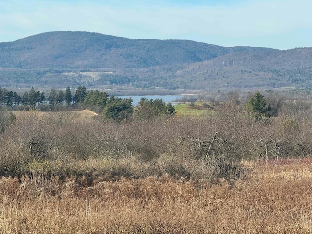 view of mountain feature featuring a water view