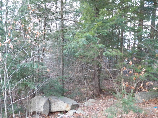 Listing photo 3 for 014-102 Deerpoint Dr, Hillsborough NH 03244