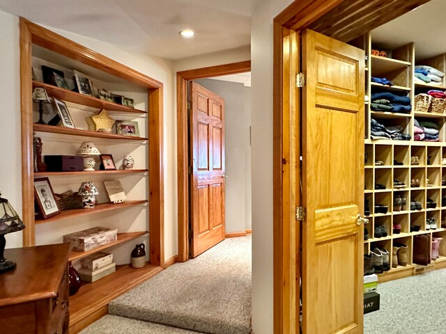 hallway featuring carpet floors