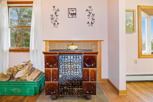 details featuring hardwood / wood-style floors and a baseboard radiator