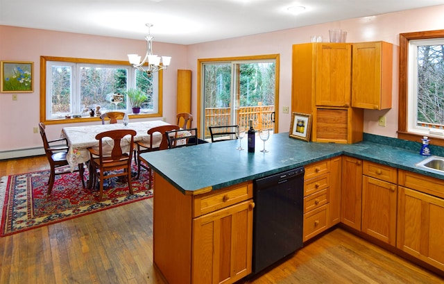 kitchen featuring a healthy amount of sunlight, black dishwasher, and light hardwood / wood-style flooring