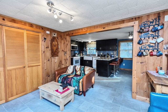 living room featuring wooden walls, sink, and ceiling fan