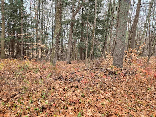 Listing photo 2 for LOT09-195-003 Winsor Dr, Hartford VT 05001