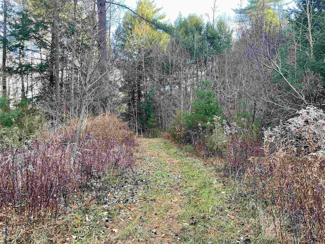 0 Yale Heights Rd, West Windsor VT, 05037 land for sale