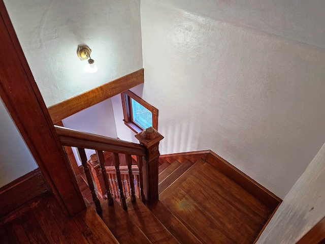 stairway with hardwood / wood-style flooring and wooden walls