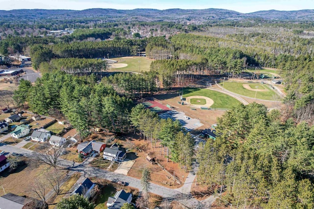 birds eye view of property featuring a mountain view