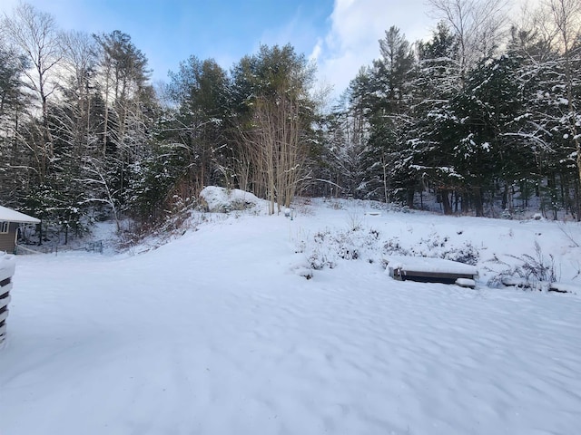 view of yard layered in snow