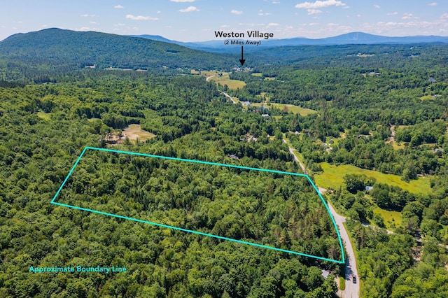 Listing photo 2 for 1047 Rte 100, Weston VT 05161