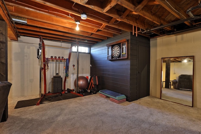 basement with carpet