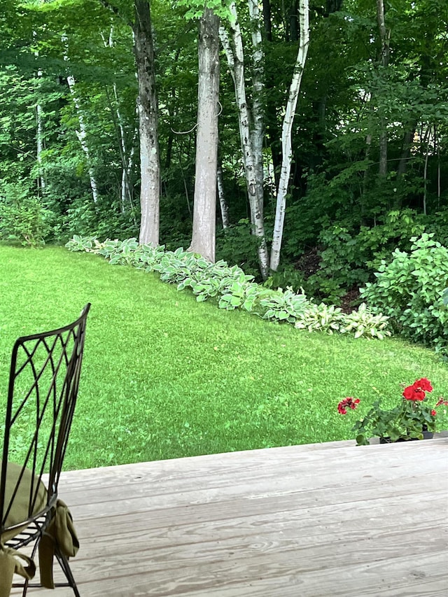 view of yard with a deck