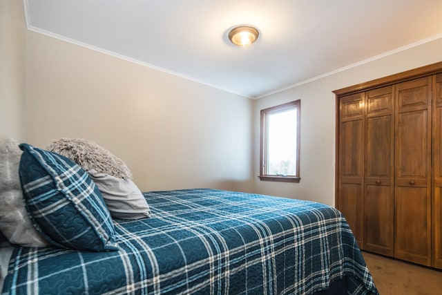 bedroom featuring carpet flooring and crown molding